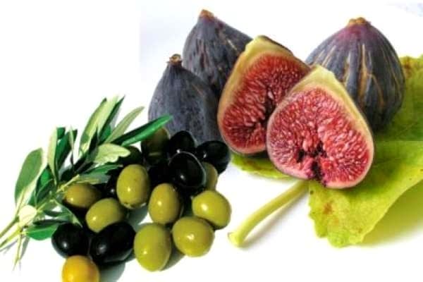 Olive Trees - Fig Trees - English Menu